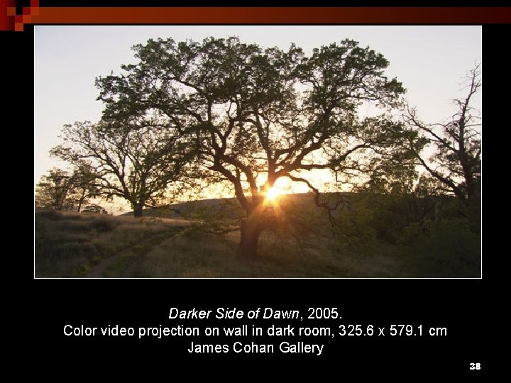 Darker Side of Dawn, 2005. Color video projection on wall in dark room, 325.