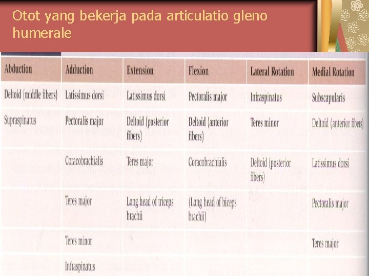 Otot yang bekerja pada articulatio gleno humerale Otot yang bekerja pada articulatio gleno humerale