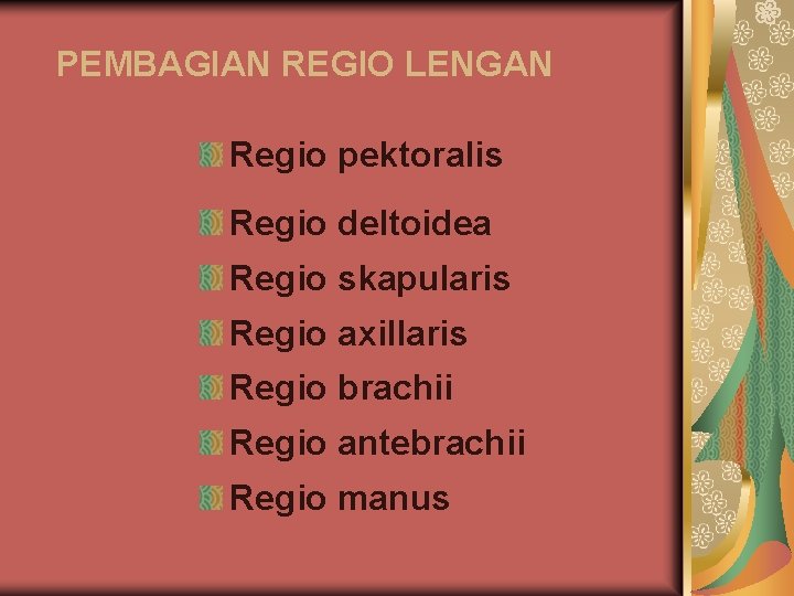 PEMBAGIAN REGIO LENGAN Regio pektoralis Regio deltoidea Regio skapularis Regio axillaris Regio brachii Regio PEMBAGIAN REGIO LENGAN Regio pektoralis Regio deltoidea Regio skapularis Regio axillaris Regio brachii Regio