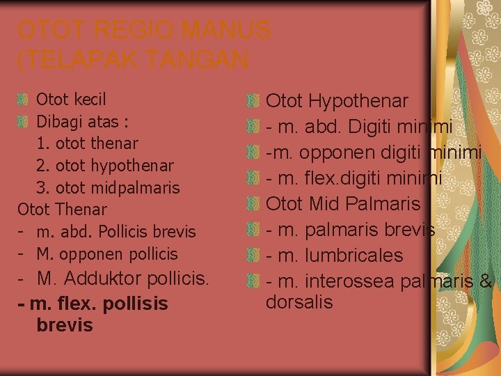 OTOT REGIO MANUS (TELAPAK TANGAN Otot kecil Dibagi atas : 1. otot thenar 2. OTOT REGIO MANUS (TELAPAK TANGAN Otot kecil Dibagi atas : 1. otot thenar 2.