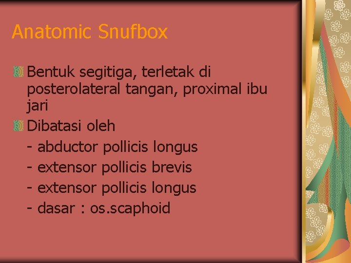 Anatomic Snufbox Bentuk segitiga, terletak di posterolateral tangan, proximal ibu jari Dibatasi oleh -