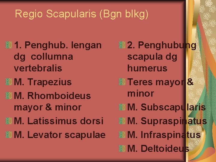 Regio Scapularis (Bgn blkg) 1. Penghub. lengan dg collumna vertebralis M. Trapezius M. Rhomboideus Regio Scapularis (Bgn blkg) 1. Penghub. lengan dg collumna vertebralis M. Trapezius M. Rhomboideus