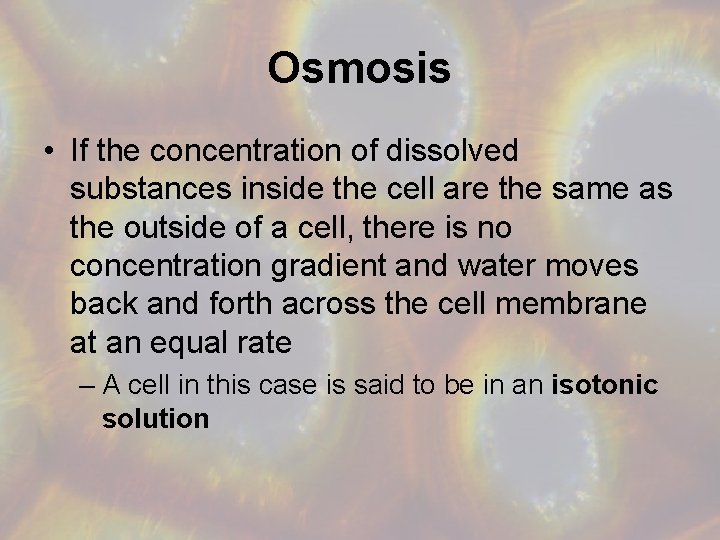 Osmosis • If the concentration of dissolved substances inside the cell are the same