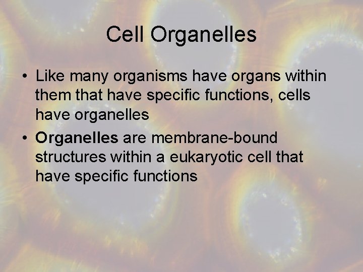 Cell Organelles • Like many organisms have organs within them that have specific functions,