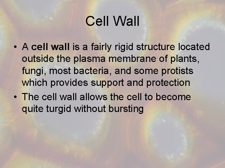 Cell Wall • A cell wall is a fairly rigid structure located outside the