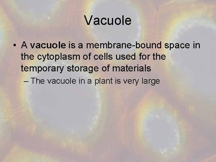 Vacuole • A vacuole is a membrane-bound space in the cytoplasm of cells used