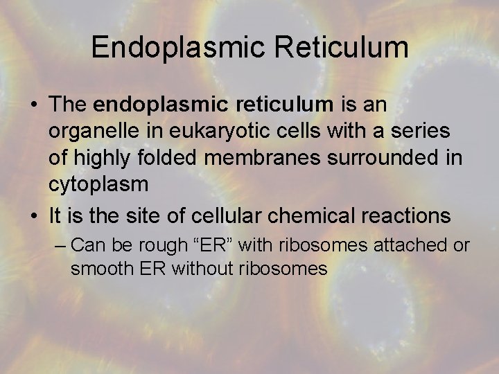 Endoplasmic Reticulum • The endoplasmic reticulum is an organelle in eukaryotic cells with a