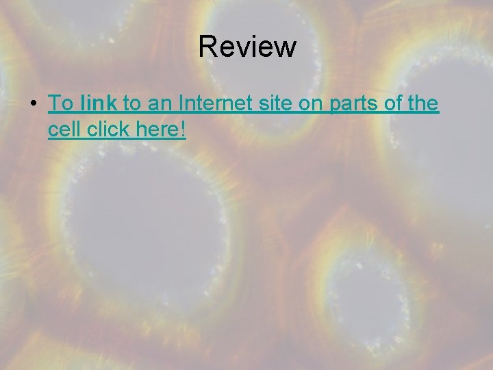 Review • To link to an Internet site on parts of the cell click