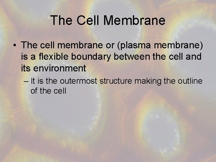 The Cell Membrane • The cell membrane or (plasma membrane) is a flexible boundary