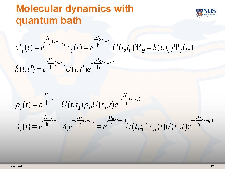 Molecular dynamics with quantum bath TIENCS 2010 45 