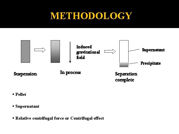 METHODOLOGY Induced gravitational field Suspension In process § Pellet § Supernatant § Relative centrifugal