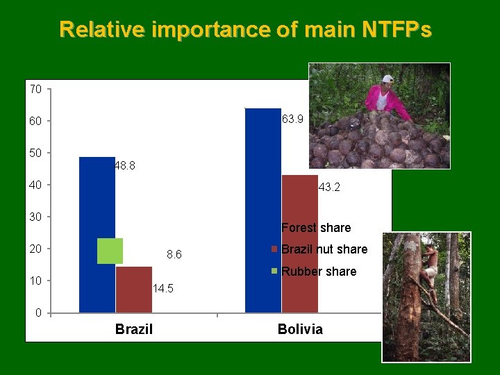 Relative importance of main NTFPs 70 63. 9 60 50 48. 8 40 43.