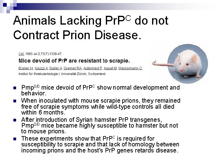 Animals Lacking Pr. PC do not Contract Prion Disease. n n Prnp 0/0 mice