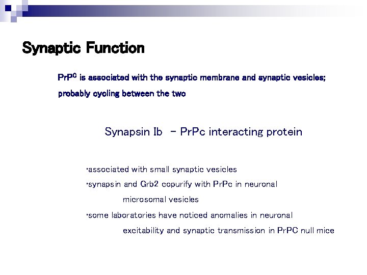 Synaptic Function Pr. PC is associated with the synaptic membrane and synaptic vesicles; probably