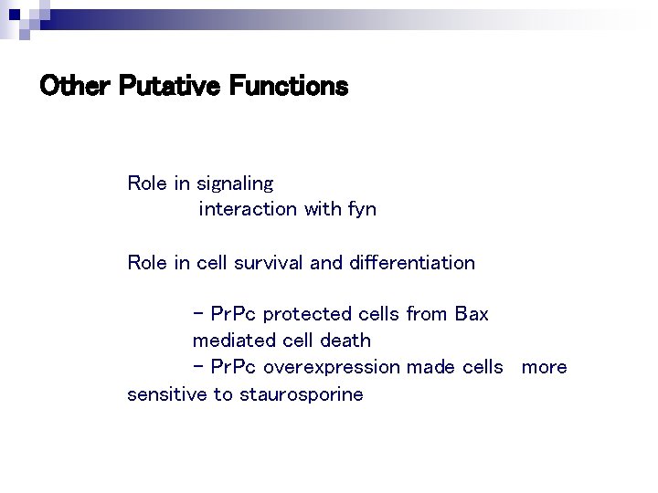 Other Putative Functions Role in signaling interaction with fyn Role in cell survival and