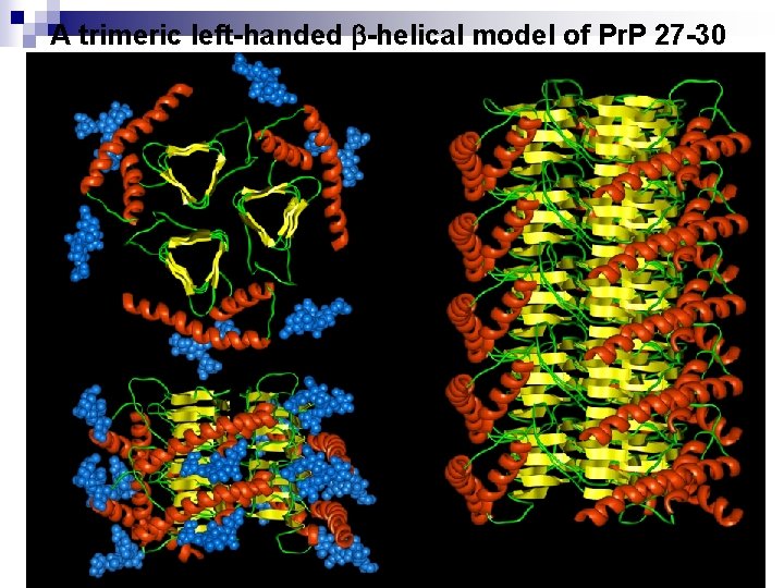 A trimeric left-handed -helical model of Pr. P 27 -30 