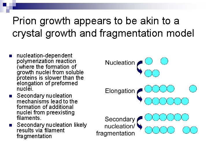 Prion growth appears to be akin to a crystal growth and fragmentation model n