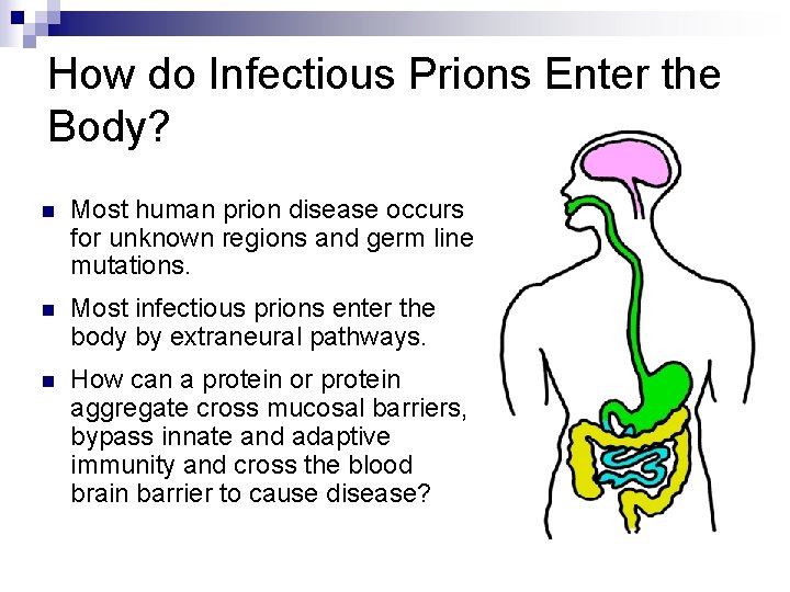 How do Infectious Prions Enter the Body? n Most human prion disease occurs for