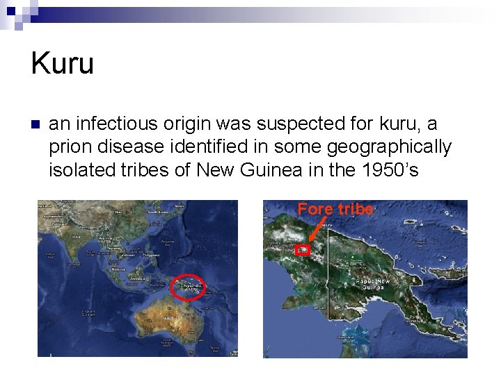 Kuru n an infectious origin was suspected for kuru, a prion disease identified in