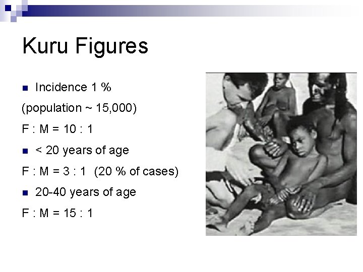 Kuru Figures n Incidence 1 % (population ~ 15, 000) F : M =