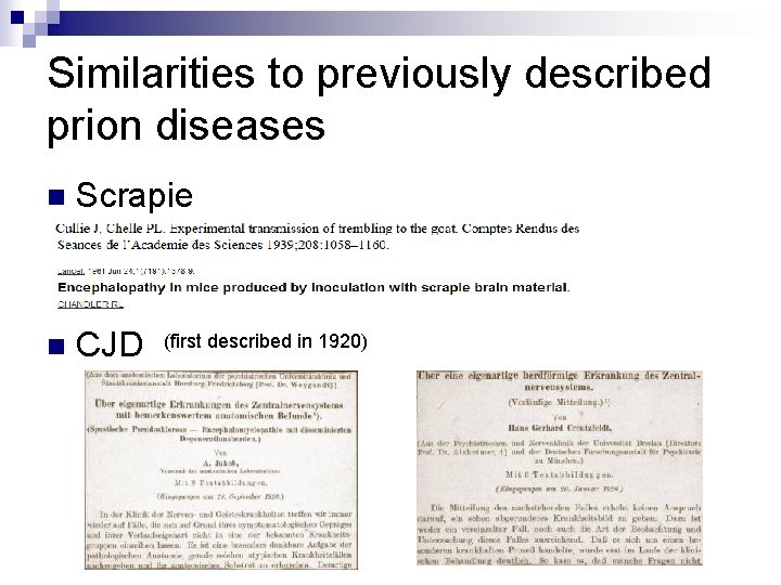 Similarities to previously described prion diseases n Scrapie n CJD (first described in 1920)