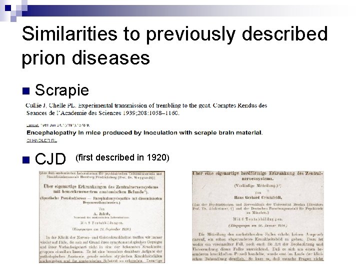 Similarities to previously described prion diseases n Scrapie n CJD (first described in 1920)