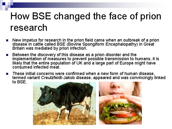 How BSE changed the face of prion research n New impetus for research in