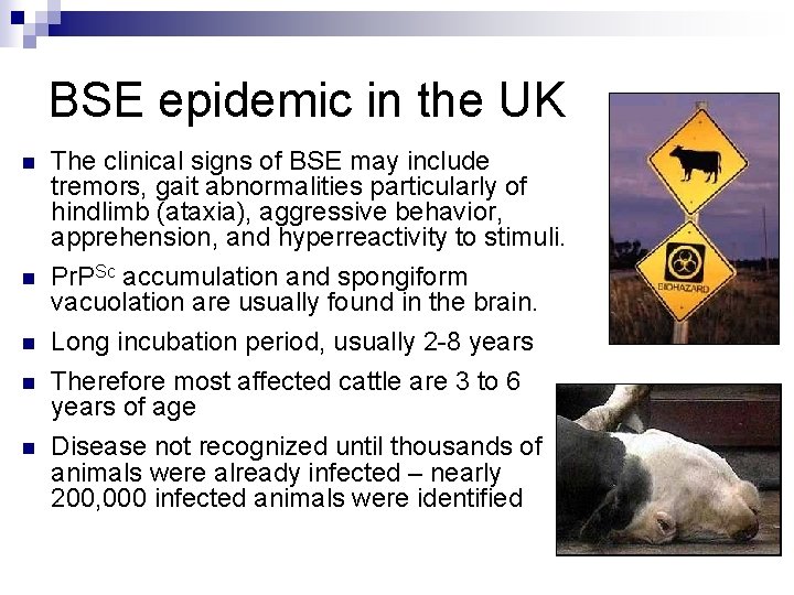BSE epidemic in the UK n n n The clinical signs of BSE may