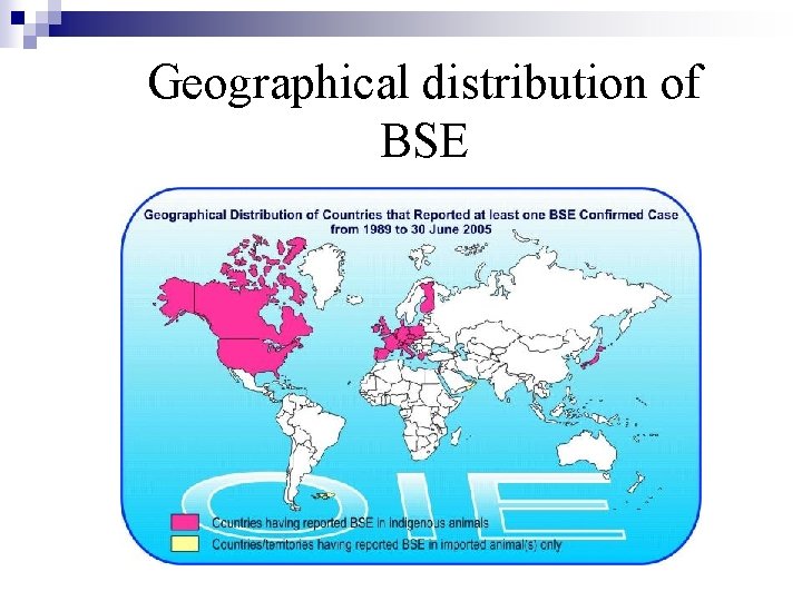 Geographical distribution of BSE 