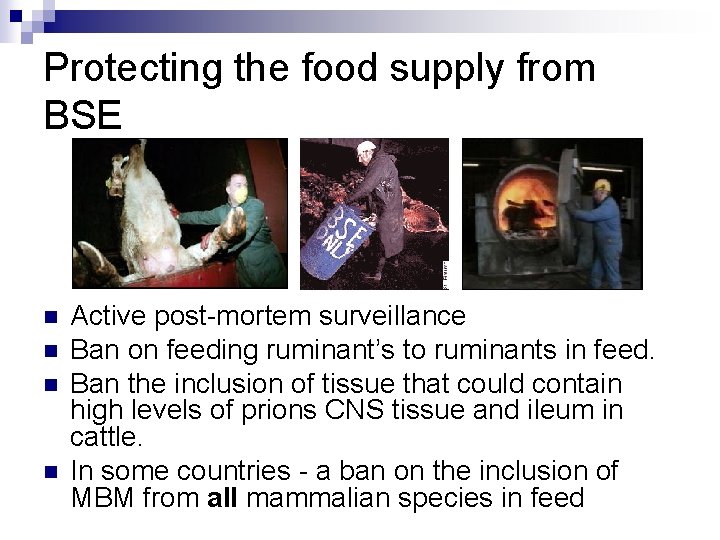 Protecting the food supply from BSE n n Active post-mortem surveillance Ban on feeding