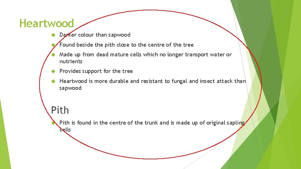 Heartwood Darker colour than sapwood Found beside the pith close to the centre of
