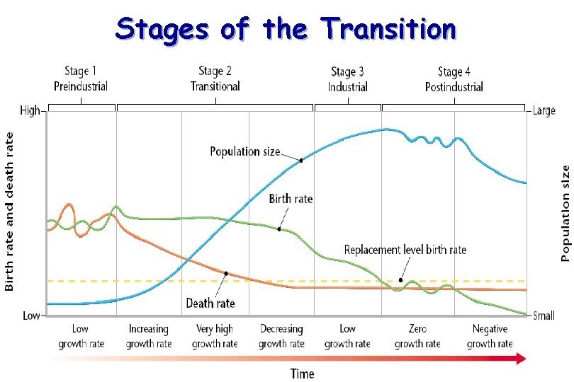 Stages of the Transition 