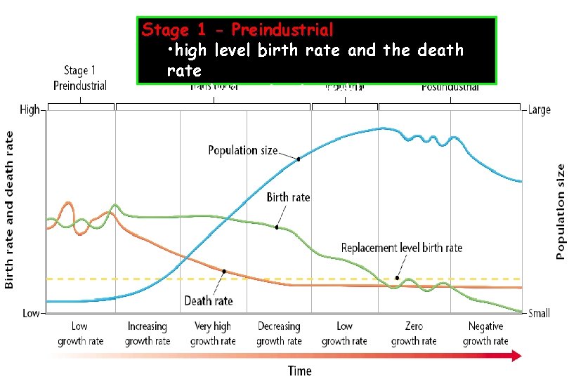 Stage 1 - Preindustrial • high level birth rate and the death rate •