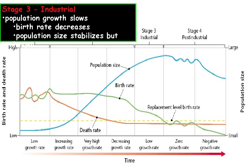 Stage 3 - Industrial • population growth slows • birth rate decreases • population