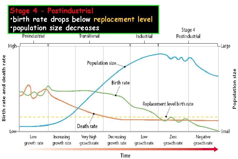 Stage 4 - Postindustrial • birth rate drops below replacement level • population size