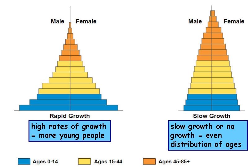 high rates of growth = more young people slow growth or no growth =