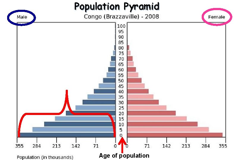 Population Pyramid Age of population 