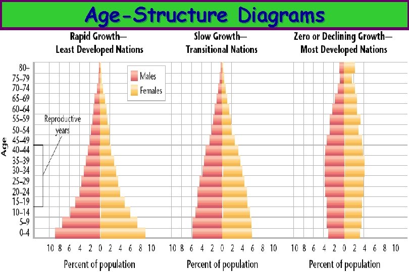 Age-Structure Diagrams 