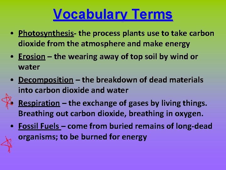 Vocabulary Terms • Photosynthesis- the process plants use to take carbon dioxide from the