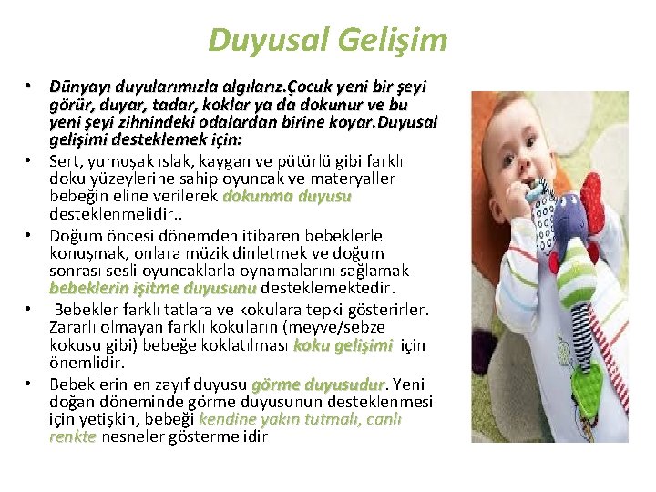 Duyusal Gelişim • Dünyayı duyularımızla algılarız. Çocuk yeni bir şeyi görür, duyar, tadar, koklar