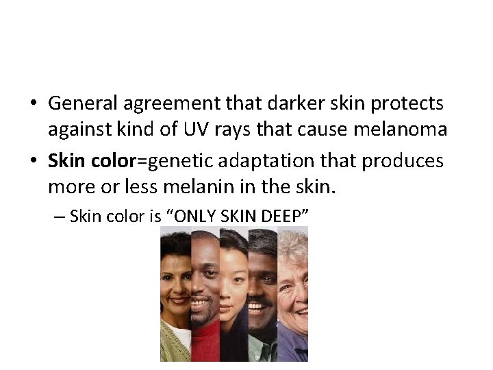  • General agreement that darker skin protects against kind of UV rays that