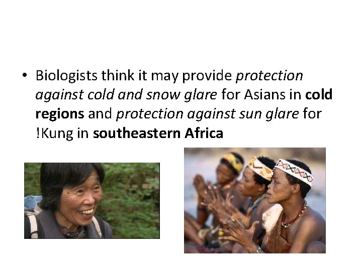  • Biologists think it may provide protection against cold and snow glare for