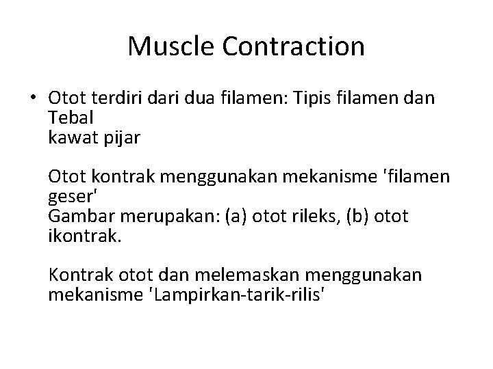 Muscle Contraction • Otot terdiri dari dua filamen: Tipis filamen dan Tebal kawat pijar