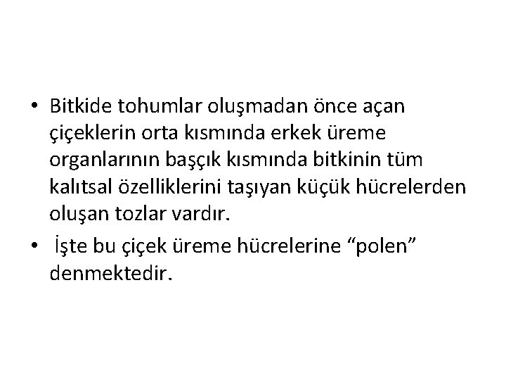  • Bitkide tohumlar oluşmadan önce açan çiçeklerin orta kısmında erkek üreme organlarının başçık