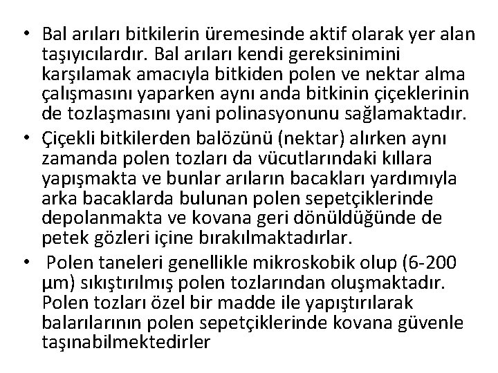  • Bal arıları bitkilerin üremesinde aktif olarak yer alan taşıyıcılardır. Bal arıları kendi