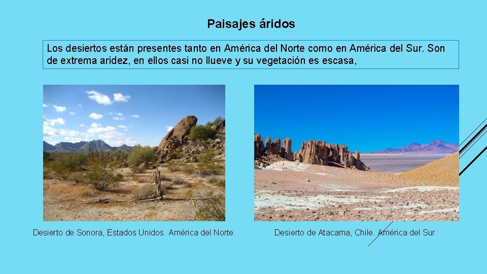 Paisajes áridos Los desiertos están presentes tanto en América del Norte como en América