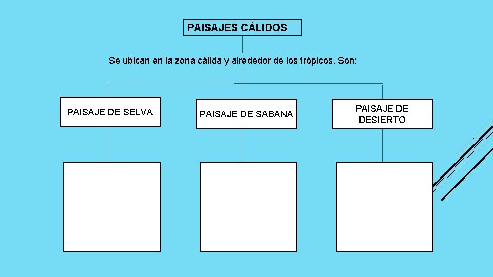 PAISAJES CÁLIDOS Se ubican en la zona cálida y alrededor de los trópicos. Son: