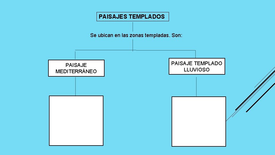 PAISAJES TEMPLADOS Se ubican en las zonas templadas. Son: PAISAJE MEDITERRÁNEO PAISAJE TEMPLADO LLUVIOSO