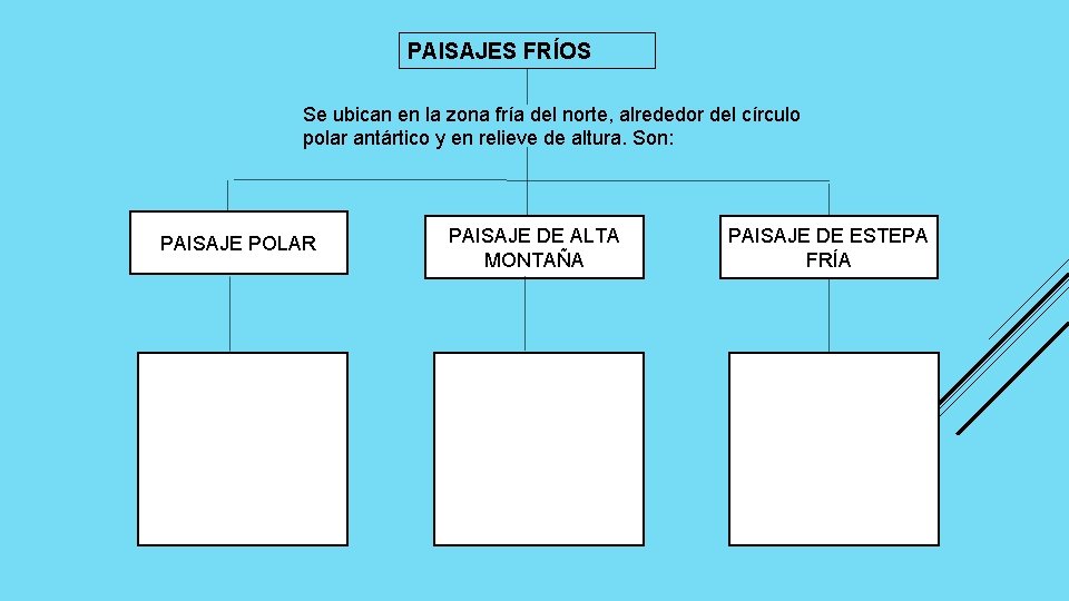 PAISAJES FRÍOS Se ubican en la zona fría del norte, alrededor del círculo polar