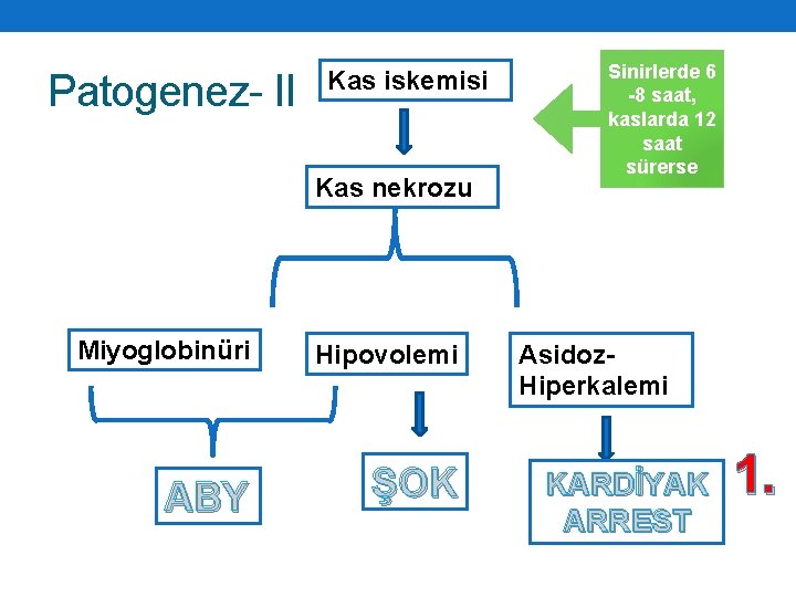 Patogenez- II Kas iskemisi Kas nekrozu Miyoglobinüri ABY Hipovolemi ŞOK Sinirlerde 6 -8 saat,